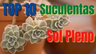 10 gêneros de SUCULENTAS que gostam de SOL PLENO  DICASGrazi Bittencourt [upl. by Paris]