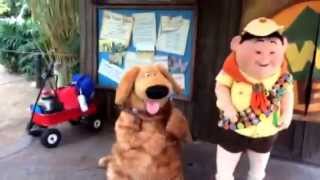 Meeting Russell and Dug from Pixars movie UP at Disneys Animal Kingdom [upl. by Ecirtra950]