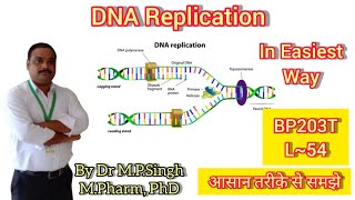 DNA Replication  Conservative Model  Biochemistry  BP203T  L54 [upl. by Nothgierc787]