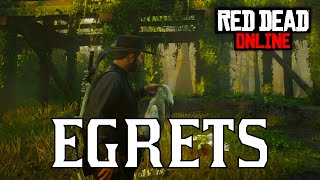 RDR2 Online  All Egret Locations  Little Egret Snowy Egret Reddish Egret [upl. by Walburga]