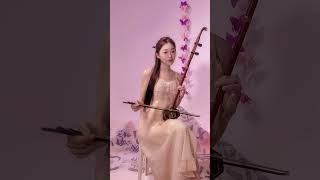 一帘幽梦 二胡 成都 music chinesemusic cover erhu china chinatravel [upl. by Maisey]