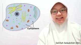 Video Pembelajaran Katabolisme dan Anabolisme  Biologi Kelas 12 [upl. by Kevyn]