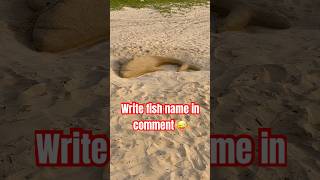 Jldi se fish ka name btao funny funnyshorts youtubeshorts trending shorts [upl. by Alban]