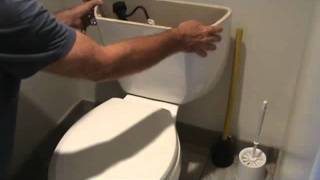 How to remove a leaking toilet tank [upl. by Joy]