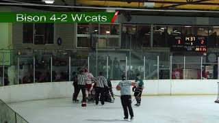 Basingstoke Bison v Swindon Wildcats  Season Finale [upl. by Acinoj313]