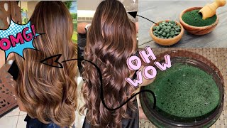 💚SUPER TRATAMIENTO para NUTRIR EL CABELLO DE RAIZ A PUNTAS ESPIRULINA [upl. by Thora]