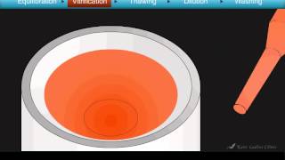 Cryotop Oocyte Vitrification Animation [upl. by Atirhs26]