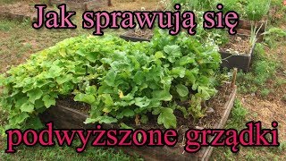 Jak sprawują się podwyższone grządki [upl. by Ateekahs699]