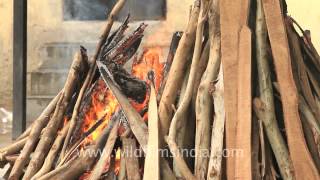 Burning funeral pyre in India [upl. by Alleuqahs]