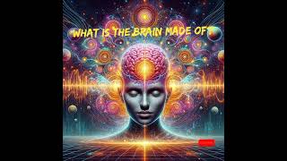 What is the brain What is the brain made of How human brain works [upl. by Mandi]