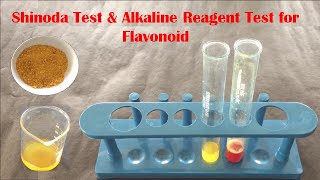 Phytochemical Test for Flavonoid  Qualitative Test for Flavonoid  फ्लावोनोइड टेस्ट कैसे करते हैं [upl. by Attenaz]