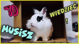 ‼️ Musisz to wiedzieć zanim zdecydujesz się na królika ‼️🐰 [upl. by Esinel]