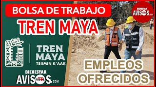 ¿Buscas EMPLEO 🚆 Bolsa de TRABAJO en el TREN MAYA 🌟 ¡Únete al equipo REGÍSTRATE y POSTÚLATE AHORA [upl. by Carolin]