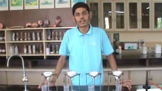 Grade 12 student tested the quantity of caesin present in different Milk sample in school laboratory [upl. by Cordy198]