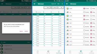 Data Managing using Ministat Application  English version [upl. by Innus354]