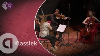 Dvořák Piano Quintet No 2 in A major Op 81  Harriet Krijgh amp Friends  Live concert HD [upl. by Ettennig952]