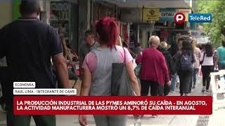 ECONOMÍA  LA PRODUCCIÓN INDUSTRIAL DE LAS PYMES AMINORÓ SU CAÍDA [upl. by Yelsna]