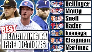 The Best Remaining MLB Free Agents At Each Position amp Predicting Where they Will Sign [upl. by Nwahsan]