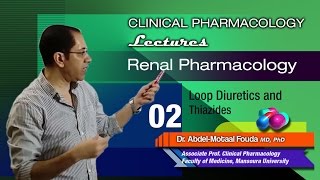 Renal Pharmacology Ar  02  Loop diuretics and thiazides [upl. by Goldarina]