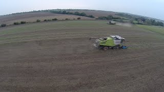 Borage Harvesting 2014 [upl. by Ellinad]