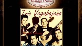 Trio Vegabajeño Y Fernando Álvarez  Pedacito de Borinquen VintageMusices [upl. by Yaj682]