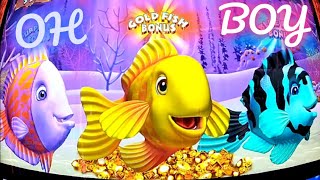 WINSTAR CASINO SLOT WINS ON GOLDFISH TRIPLE TREASURE [upl. by Salis]