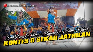 CANTIK LURRR‼️ Tari Kontes amp Sekar Jathilan Seni Reog amp Jaranan Campursari SINGO KUBRO Live Semboro [upl. by Barbabra]