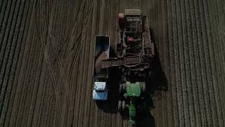 Potato Harvest by Crane Brother Farms Corinth Maine Cinematic Maine Fall Drone Footage [upl. by Brittney]