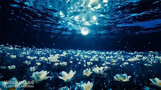 Ocean Calm Sleep Meditation For Inner Balance • Deep Healing Music For The Body amp Soul [upl. by Netsud]