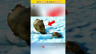 बर्फ़ में मिली सबसे अजीबोगरीब चीजें 😱 Things Found In Ice [upl. by Delija903]