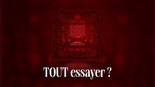 Dadju amp Tayc  TOUT essayer  Lyrics video [upl. by Nalyorf]