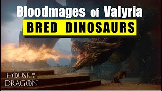 The Dragons of Valyria descend from DINOSAURS  Wyverns Explained [upl. by Oicneserc]