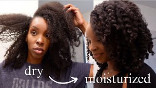 THIS IS HOW I TRIPLED MY HAIR GROWTH AND DENSITY  4C Hair Growth REAL TIPS [upl. by Aicilana850]