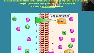 Biophysique A11  équilibre de Donnan [upl. by Gut]