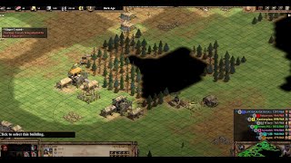 Douching their best player  Noob 4v4  Land Nomad  Age Of Empires 2 [upl. by Obadias]