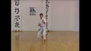 Kanku Sho  Efthimios Karamitsos  Karate  Kata  Shotokan [upl. by Merline]