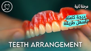 Teerh Arrangiment  خطوة بخطوة  طب الاسنان مرحلة ثانية [upl. by Bourque765]