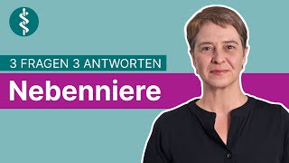 Nebenniere 3 Fragen 3 Antworten  Asklepios [upl. by Acinorehs]