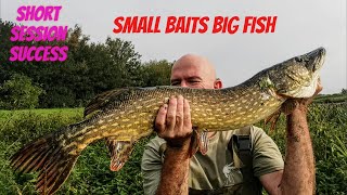 Pike fishing UK short river session and how to set up river paternoster rig [upl. by Relyc730]