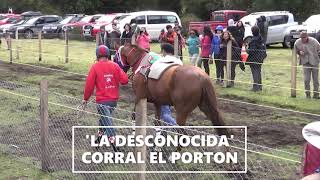 Triunfo de Joyita Corral el Salto🆚️ Desconocida Corral Porton [upl. by Latsyk]