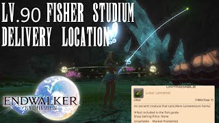 FFXIV Endwalker Lv90 Fisher Studium Delivery Lunar Lamenters Location [upl. by Carine483]