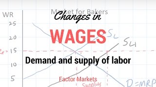 Labor Markets  Change in in Equilibrium Wage Rate and Level of Employment [upl. by Stanford]