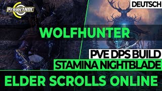 ESO  Stamina Nachtklinge PVE DPS Build Update für Wolfhunter Deutsch [upl. by Aay]