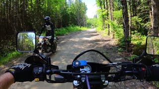 DR650  Easy trail riding [upl. by Anaiad837]