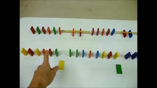 Saltatory conduction demo using dominoes [upl. by Aienahs364]