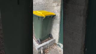 Bins in doveton [upl. by Albemarle]