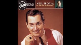 USA Karaoke One Way Ticket  Neil Sedaka [upl. by Firahs]