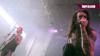 While She Sleeps  Crows Official HD Live Video [upl. by Kym]