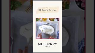 quot100 Days of Summerquot with Mulberry Tree [upl. by Ottavia]