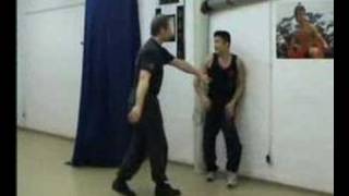 WingTsun Training Part 1 wwwiuewtcomwwwufewtcom [upl. by Heisel935]